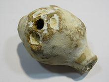 Laden Sie das Bild in den Galerie-Viewer, Klapperstein laut Dm5x8cm weiß braun Flint Schwamm Kreide Normandie, Frankreich