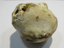 Laden Sie das Bild in den Galerie-Viewer, Klapperstein laut Dm5x8cm weiß braun Flint Schwamm Kreide Normandie, Frankreich