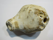 Laden Sie das Bild in den Galerie-Viewer, Klapperstein laut Dm5x8cm weiß braun Flint Schwamm Kreide Normandie, Frankreich