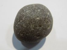 Laden Sie das Bild in den Galerie-Viewer, Klapperstein laut Flint Hohlstein +Schwamm 3cm 29g Kreide Normandie, Frankreich