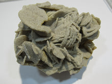 Laden Sie das Bild in den Galerie-Viewer, Baryt feine Schwimmer Sandrose Schwerspat 8cm Rockenberg Hessen, Deutschland