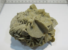 Laden Sie das Bild in den Galerie-Viewer, Baryt feine Schwimmer Sandrose Schwerspat 8cm Rockenberg Hessen, Deutschland