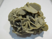 Laden Sie das Bild in den Galerie-Viewer, Baryt feine Schwimmer Sandrose Schwerspat 8cm Rockenberg Hessen, Deutschland
