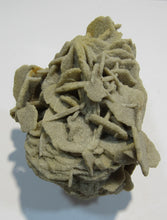 Laden Sie das Bild in den Galerie-Viewer, Baryt feine Schwimmer Sandrose Schwerspat 8cm Rockenberg Hessen, Deutschland
