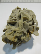 Laden Sie das Bild in den Galerie-Viewer, Baryt feine Schwimmer Sandrose Schwerspat 8cm Rockenberg Hessen, Deutschland