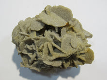 Laden Sie das Bild in den Galerie-Viewer, Baryt feine Schwimmer Sandrose Schwerspat 8cm Rockenberg Hessen, Deutschland