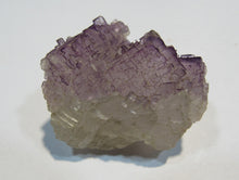 Laden Sie das Bild in den Galerie-Viewer, Fluorit Würfel Quader feine Kristall Stufe violett 4cm Durango, Mexiko