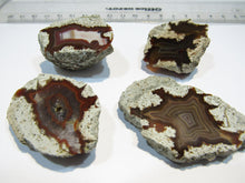 Laden Sie das Bild in den Galerie-Viewer, Achat Sammlung 4 Geoden-Hälften geschnitten poliert 4-6cm Spessart, Deutschland