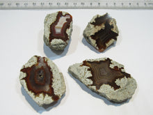Laden Sie das Bild in den Galerie-Viewer, Achat Sammlung 4 Geoden-Hälften geschnitten poliert 4-6cm Spessart, Deutschland