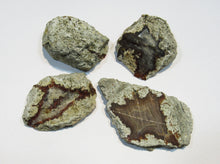 Laden Sie das Bild in den Galerie-Viewer, Achat Sammlung 4 Geoden-Hälften geschnitten poliert 4-6cm Spessart, Deutschland