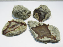 Laden Sie das Bild in den Galerie-Viewer, Achat Sammlung 4 Geoden-Hälften geschnitten poliert 4-6cm Spessart, Deutschland