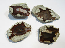 Laden Sie das Bild in den Galerie-Viewer, Achat Sammlung 4 Geoden-Hälften geschnitten poliert 4-6cm Spessart, Deutschland