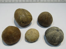Laden Sie das Bild in den Galerie-Viewer, Seeigel fossil Los 5 Stk. 2,2-4cm Kreide Limfjord Ostsee , Dänemark