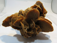 Laden Sie das Bild in den Galerie-Viewer, Gips Sandrose Selenit Sahararose 14cm Nordafrika Sahara, Tunesien