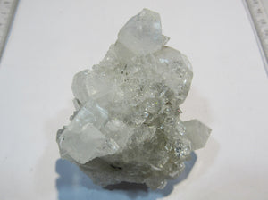 Apophyllit feine Glanz Kristall Stufe 7x6x6cm Handstufe Poona, Indien