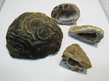 Laden Sie das Bild in den Galerie-Viewer, Achat Set edle Chalcedon Mandeln geschlossen und geschnitten 230g, Brasilien