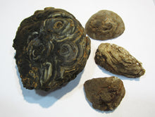 Laden Sie das Bild in den Galerie-Viewer, Achat Set edle Chalcedon Mandeln geschlossen und geschnitten 230g, Brasilien