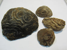 Laden Sie das Bild in den Galerie-Viewer, Achat Set edle Chalcedon Mandeln geschlossen und geschnitten 230g, Brasilien