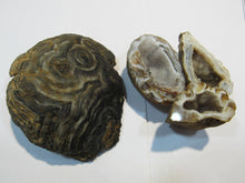 Laden Sie das Bild in den Galerie-Viewer, Achat Set edle Chalcedon Mandeln geschlossen und geschnitten 230g, Brasilien
