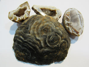 Achat Set edle Chalcedon Mandeln geschlossen und geschnitten 230g, Brasilien