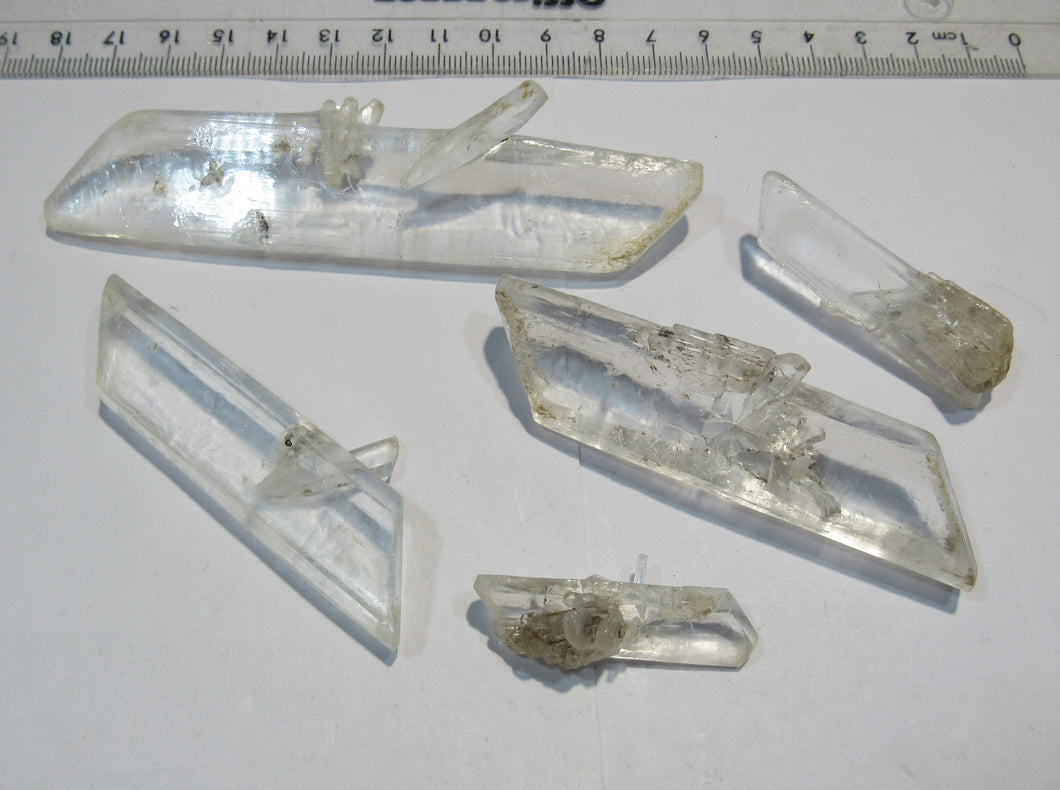 Gips Selenit Sammlung 5Stück Kristalle klar 4-11cm Borken Kassel Hessen, Deutschland