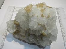 Laden Sie das Bild in den Galerie-Viewer, Apophyllit Stilbit klasse XL Kristallstufe 2,24Kg 16cm Jalgaon, Indien