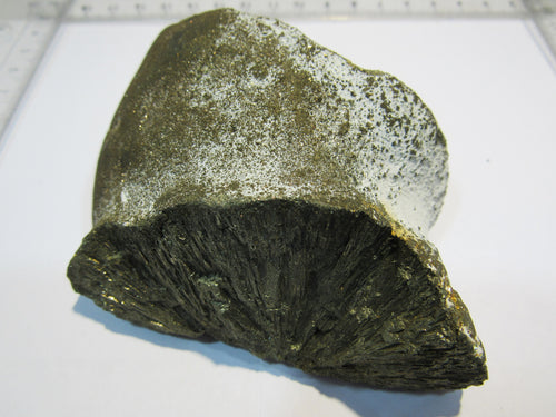Markasit Kristall Knolle geteilt Stück 10cm Ostsee Kreide Rügen, Deutschland