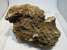 Laden Sie das Bild in den Galerie-Viewer, Bergkristall Rauchquarz Druse Stufe 3Kg 22cm Minas Gerais, Brasilien