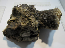 Laden Sie das Bild in den Galerie-Viewer, Bergkristall Rauchquarz Druse Stufe 3Kg 22cm Minas Gerais, Brasilien
