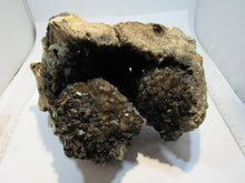 Laden Sie das Bild in den Galerie-Viewer, Bergkristall Rauchquarz Druse Stufe 3Kg 22cm Minas Gerais, Brasilien