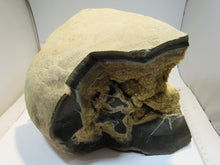 Laden Sie das Bild in den Galerie-Viewer, Calcit Drusen Septarie aus großer Geode 8,5Kg 25cm Ybbs, Österreich