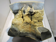 Laden Sie das Bild in den Galerie-Viewer, Calcit Drusen Septarie aus großer Geode 8,5Kg 25cm Ybbs, Österreich