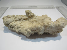 Laden Sie das Bild in den Galerie-Viewer, Aragonit Eisenblüte Calcit Tropfstein 16cm Laurion Lavrio, Griechenland