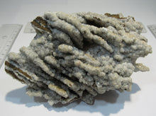 Laden Sie das Bild in den Galerie-Viewer, Calcit Drusenstufe 14cm Hufgard Feldkahl Spessart, Deutschland