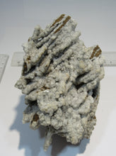 Laden Sie das Bild in den Galerie-Viewer, Calcit Drusenstufe 14cm Hufgard Feldkahl Spessart, Deutschland