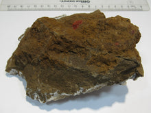 Laden Sie das Bild in den Galerie-Viewer, Calcit Drusenstufe 14cm Hufgard Feldkahl Spessart, Deutschland