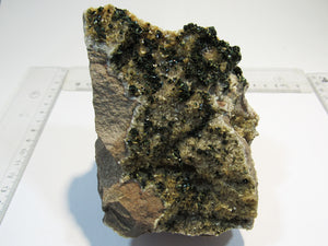 Kupferkies Chalkopyrit auf Dolomit Stufe 12cm Holzen Sauerland, Deutschland