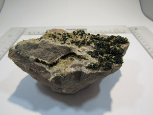 Kupferkies Chalkopyrit auf Dolomit Stufe 12cm Holzen Sauerland, Deutschland