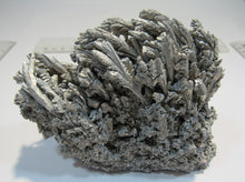 Laden Sie das Bild in den Galerie-Viewer, Magnesium feine Kristall Bäumchen Schmelze Stufe Hunan, China