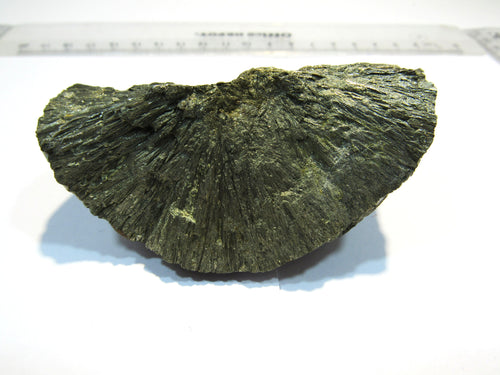 Markasit Kristall Knolle geteilt Stück 8cm Ostsee Kreide Rügen, Deutschland