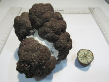 Laden Sie das Bild in den Galerie-Viewer, Pyrit Markasit Konkretion Kristallstufe 1,67Kg Lägerdorf, Deutschland
