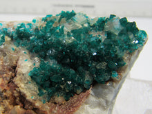 Laden Sie das Bild in den Galerie-Viewer, Dioptas Kristallstufe auf Rauchquarz 7cm Tsumeb Mine, Namibia