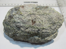 Laden Sie das Bild in den Galerie-Viewer, Chalcedon Dugway halbe Kristall Geode geknackt 14cm Utah, USA