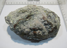 Laden Sie das Bild in den Galerie-Viewer, Chalcedon Dugway halbe Kristall Geode geknackt 14cm Utah, USA