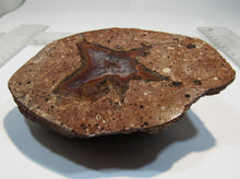 Laden Sie das Bild in den Galerie-Viewer, Achat Geode geteilt poliert 325g 9-11cm St. Egidien Sachsen, Deutschland
