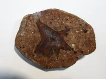 Laden Sie das Bild in den Galerie-Viewer, Achat Geode geteilt poliert 325g 9-11cm St. Egidien Sachsen, Deutschland