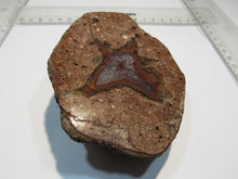 Laden Sie das Bild in den Galerie-Viewer, Achat Geode geteilt poliert 325g 9-11cm St. Egidien Sachsen, Deutschland