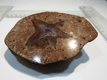 Laden Sie das Bild in den Galerie-Viewer, Achat Geode geteilt poliert 325g 9-11cm St. Egidien Sachsen, Deutschland