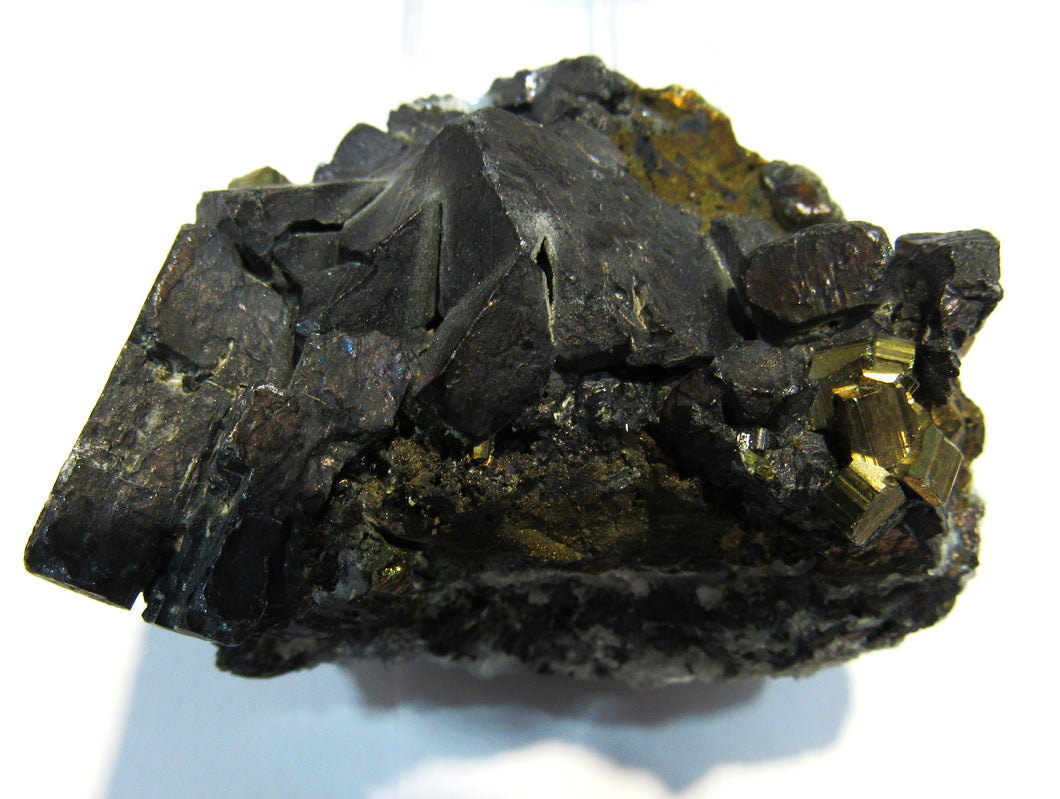 Bleiglanz Galenit Kristalle mit Kupferkies xx 5,5cm Stari trg Mine Trepca, Kosovo