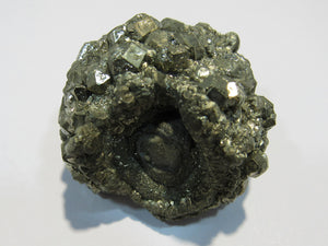 Pyrit Kristall Knolle Konkretion um Fossil Mögglingen 4cm, Deutschland